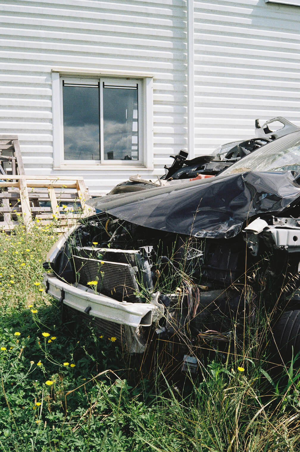 Header image