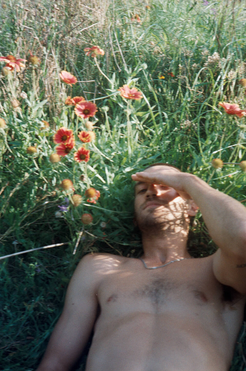 Header image